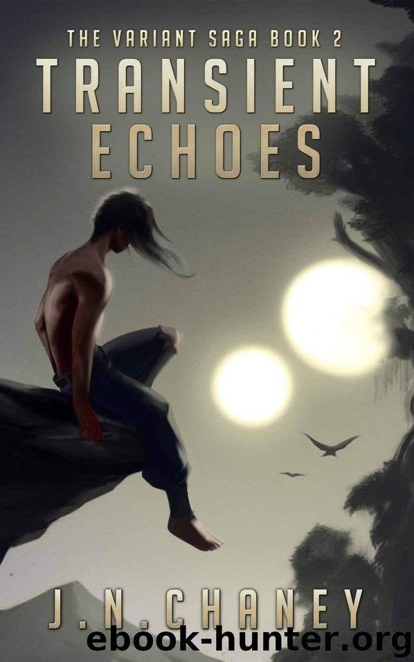 Transient Echoes by JN Chaney