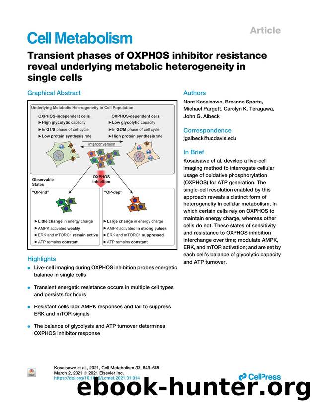 Transient phases of OXPHOS inhibitor resistance reveal underlying metabolic heterogeneity in single cells by Nont Kosaisawe & Breanne Sparta & Michael Pargett & Carolyn K. Teragawa & John G. Albeck