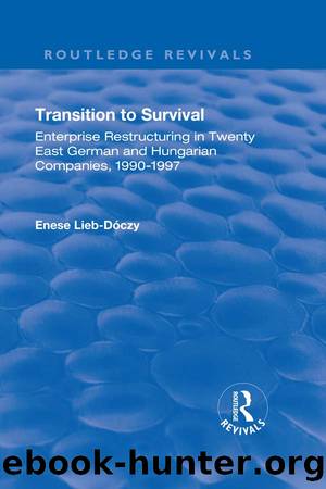Transition in Survival: Enterprise Restructuring in Twenty East German and Hungarian Companies 1990-1997 by Enese Lieb-Doczy