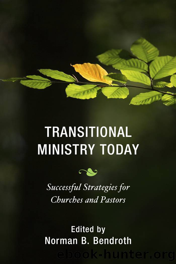 Transitional Ministry Today by Norman B. Bendroth