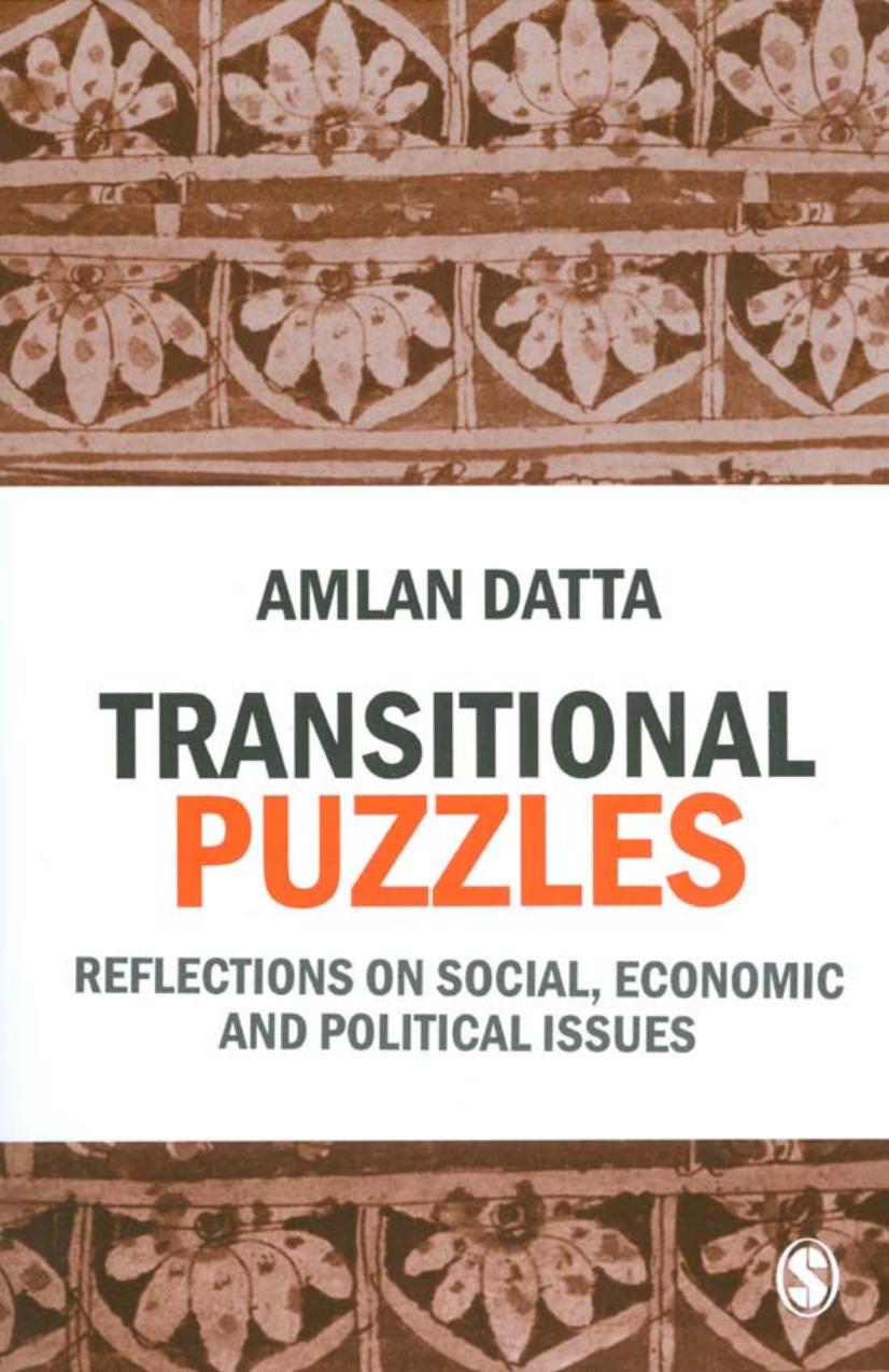 Transitional Puzzles: Reflections on Social, Economic and Political Issues by Amlan Datta
