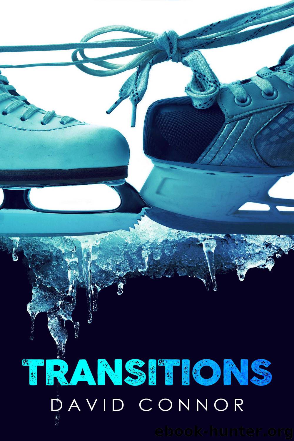 Transitions by David Connor