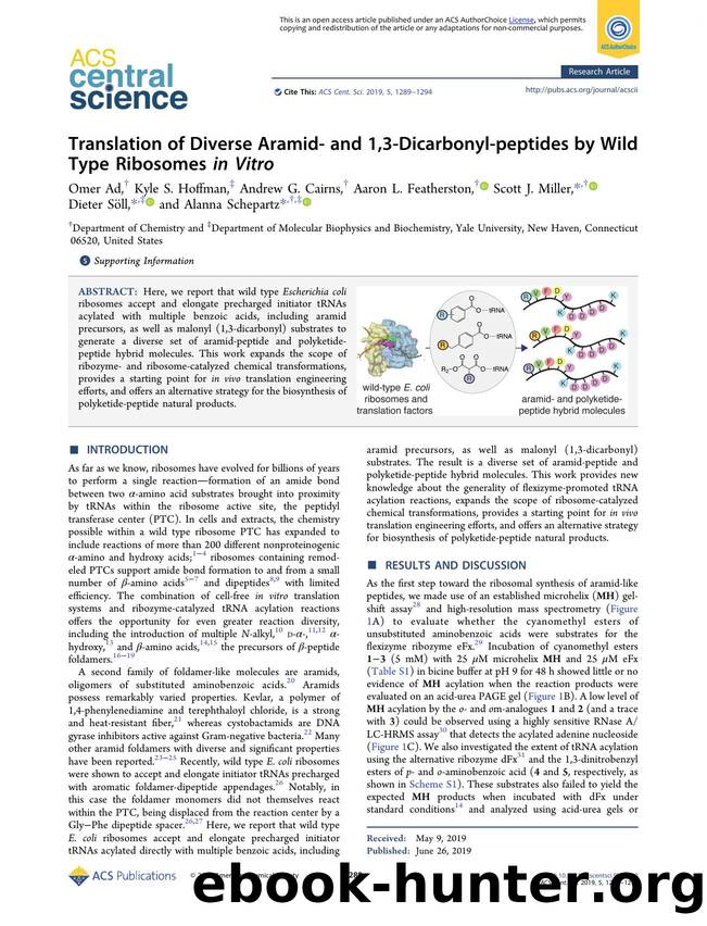 Translation of Diverse Aramid- and 1,3-Dicarbonyl-peptides by Wild Type Ribosomes in Vitro by unknow