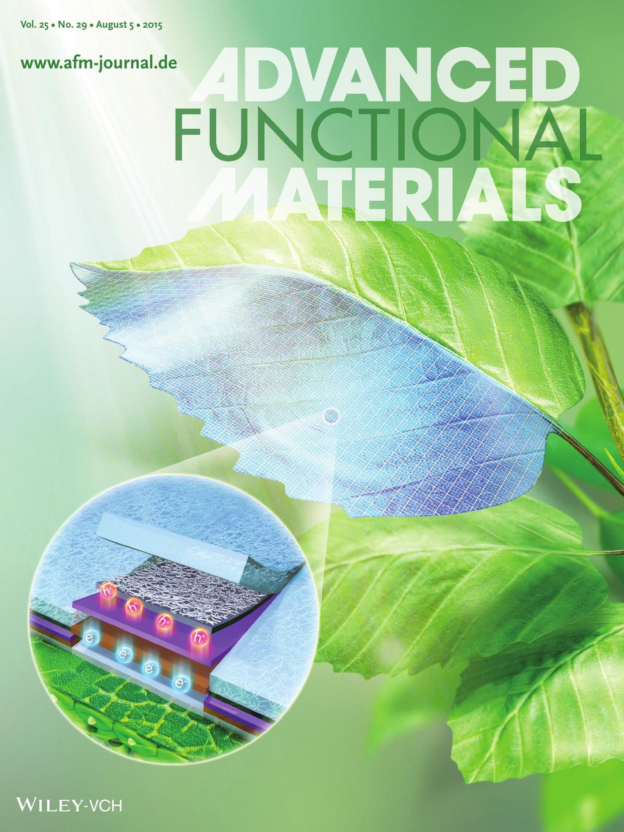 Transparent Electronics: Inverted Layer&#x02010;By&#x02010;Layer Fabrication of an Ultraflexible and Transparent Ag NanowireConductive Polymer Composite Electrode for Use in High&# by Unknown