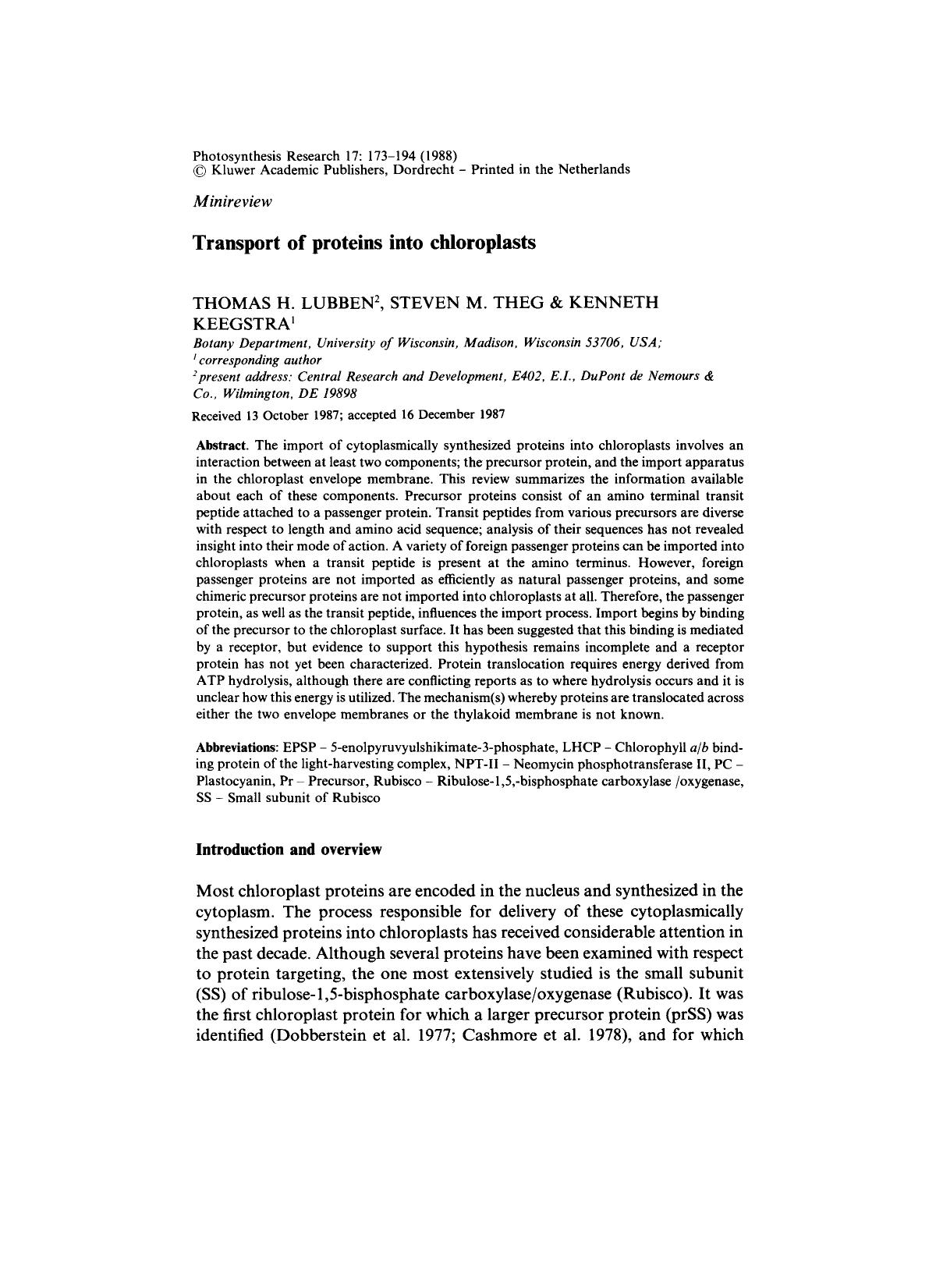 Transport of proteins into chloroplasts by Unknown