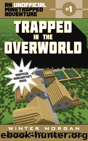 Trapped in the Overworld by Winter Morgan