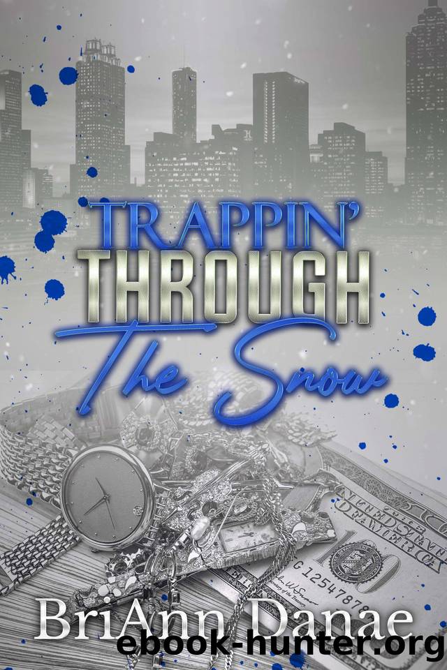 Trappin' Through The Snow by Danae BriAnn