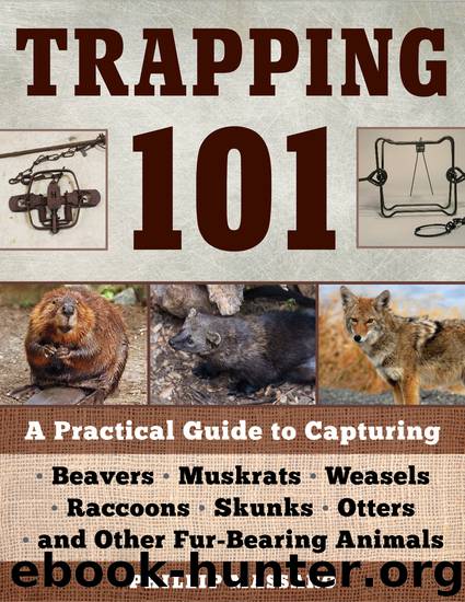 Trapping 101 by Philip Massaro