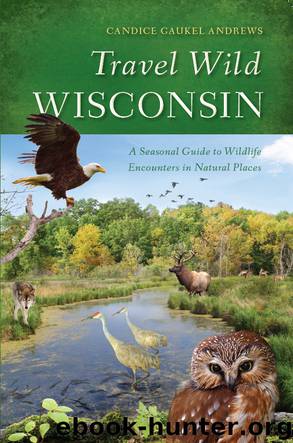 Travel Wild Wisconsin by Candice Gaukel Andrews