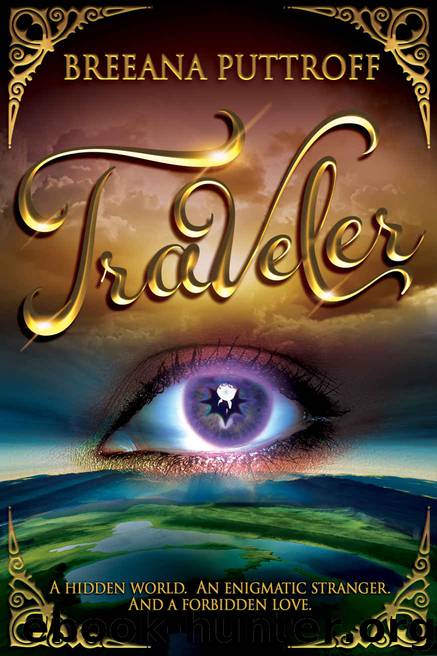 Traveler by Breeana Puttroff