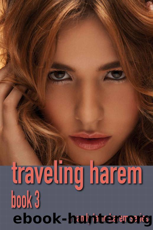 Traveling harem Book 3: A MFFF harem series by Sandy Laine