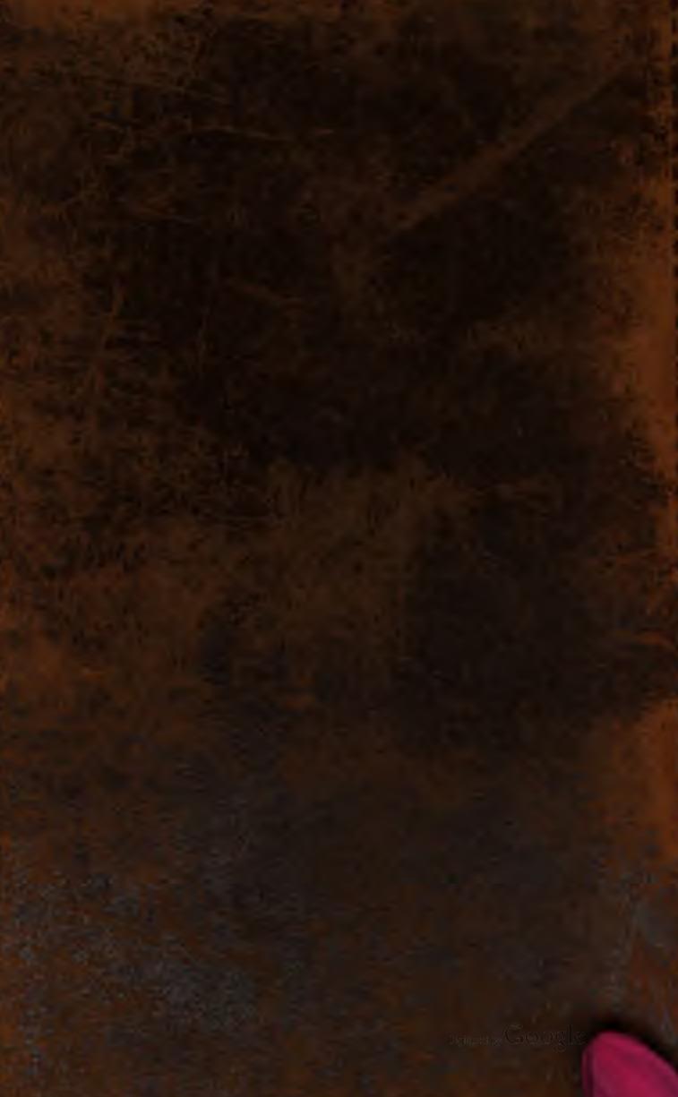 Travels in Mesopotamia by James Silk Buckingham