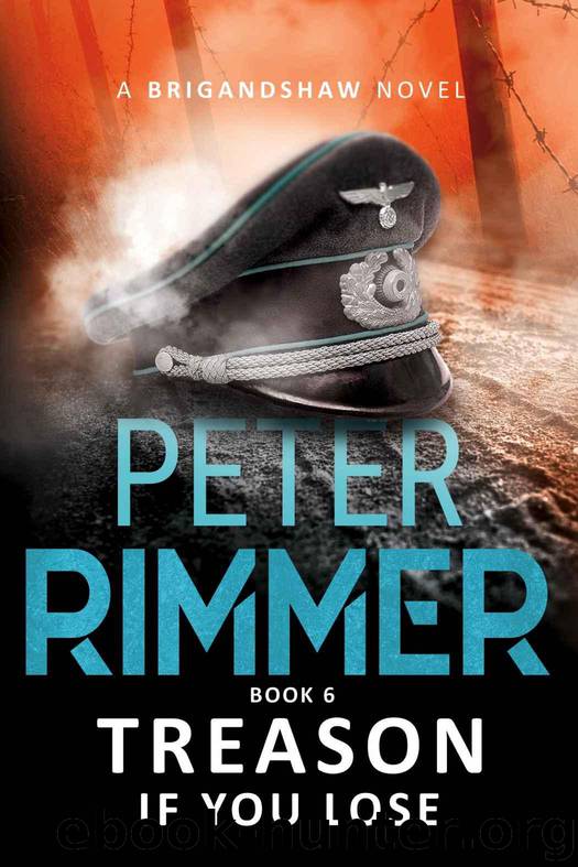 Treason if You Lose by Peter Rimmer