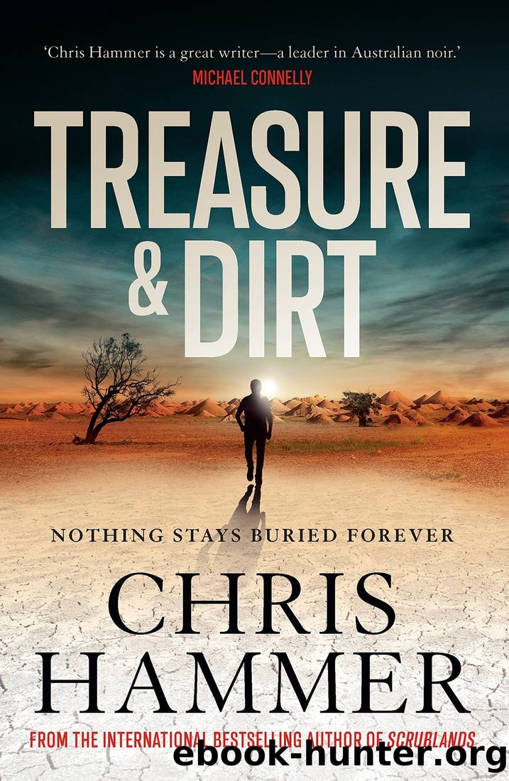 Treasure & Dirt by Chris Hammer
