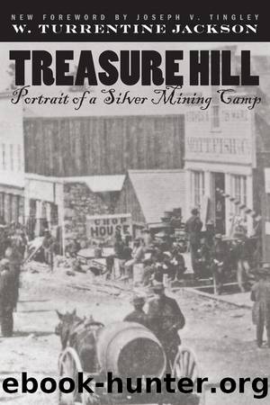 Treasure Hill by W. Turrentine Jackson
