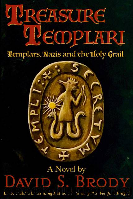 Treasure Templari by David S Brody