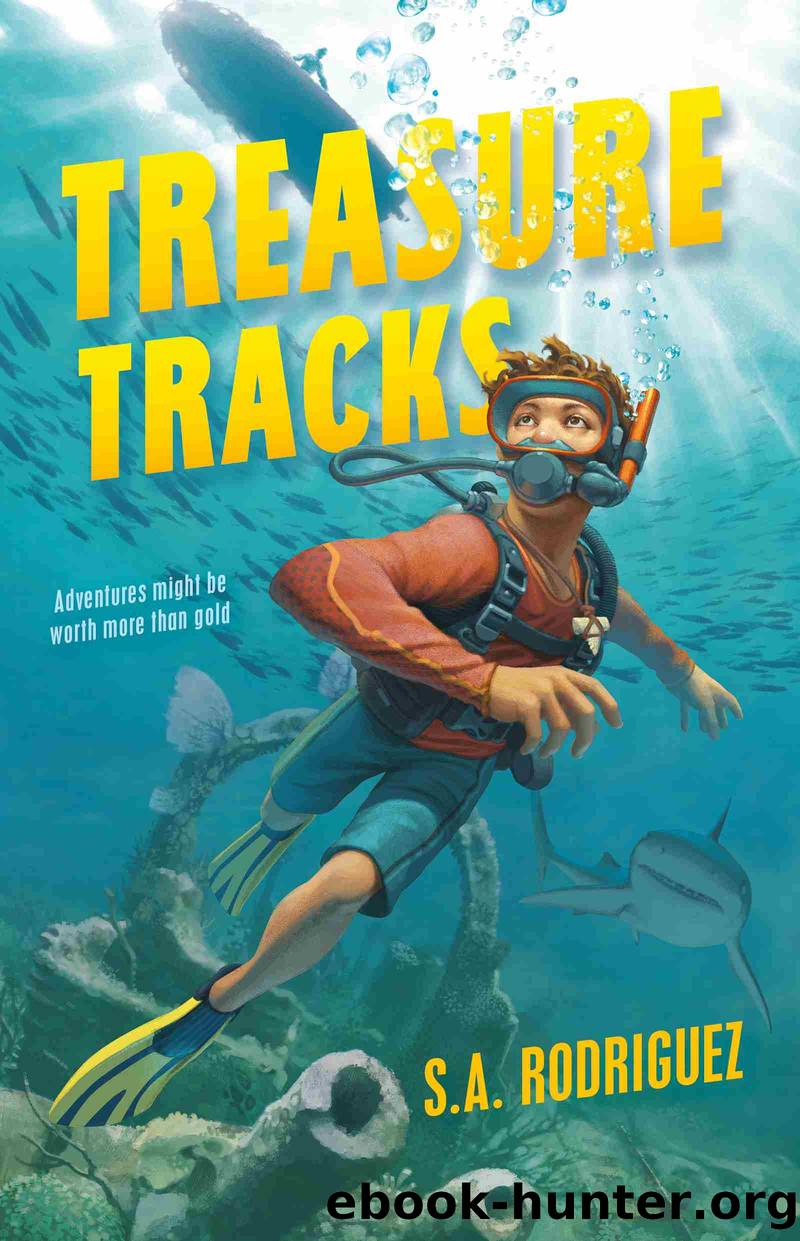 Treasure Tracks by S.A. Rodriguez