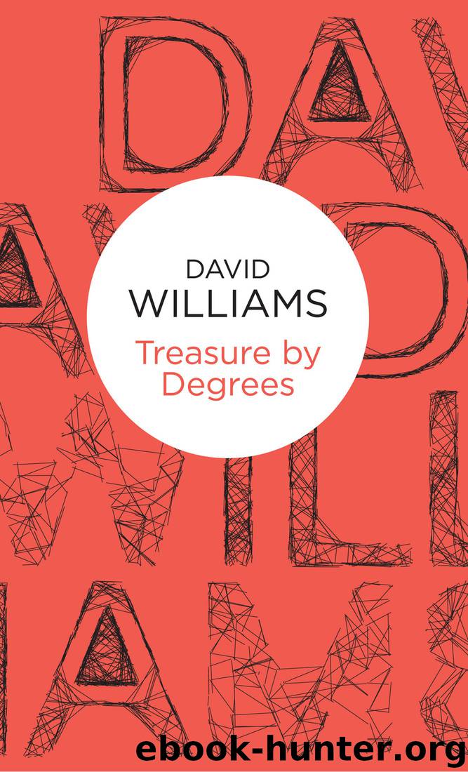 Treasure by Degrees by David Williams