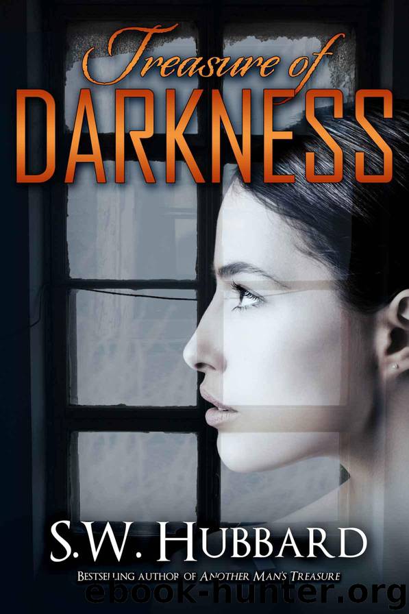 Treasure of Darkness: a romantic thriller (Palmyrton Estate Sale Mystery Series Book 2) by Hubbard S. W