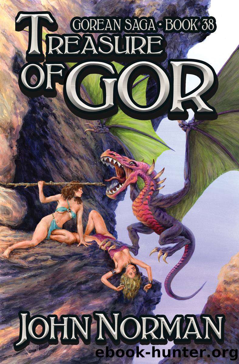 Treasure of Gor by John Norman