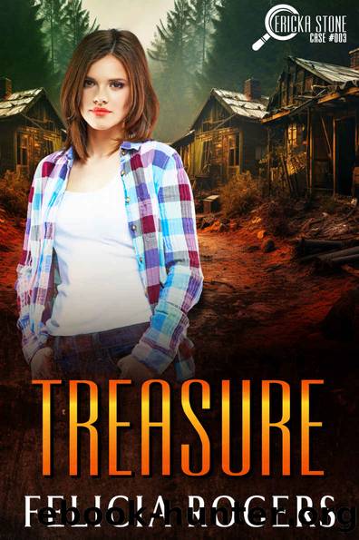 Treasure, Ericka Stone Case #003 by Rogers Felicia