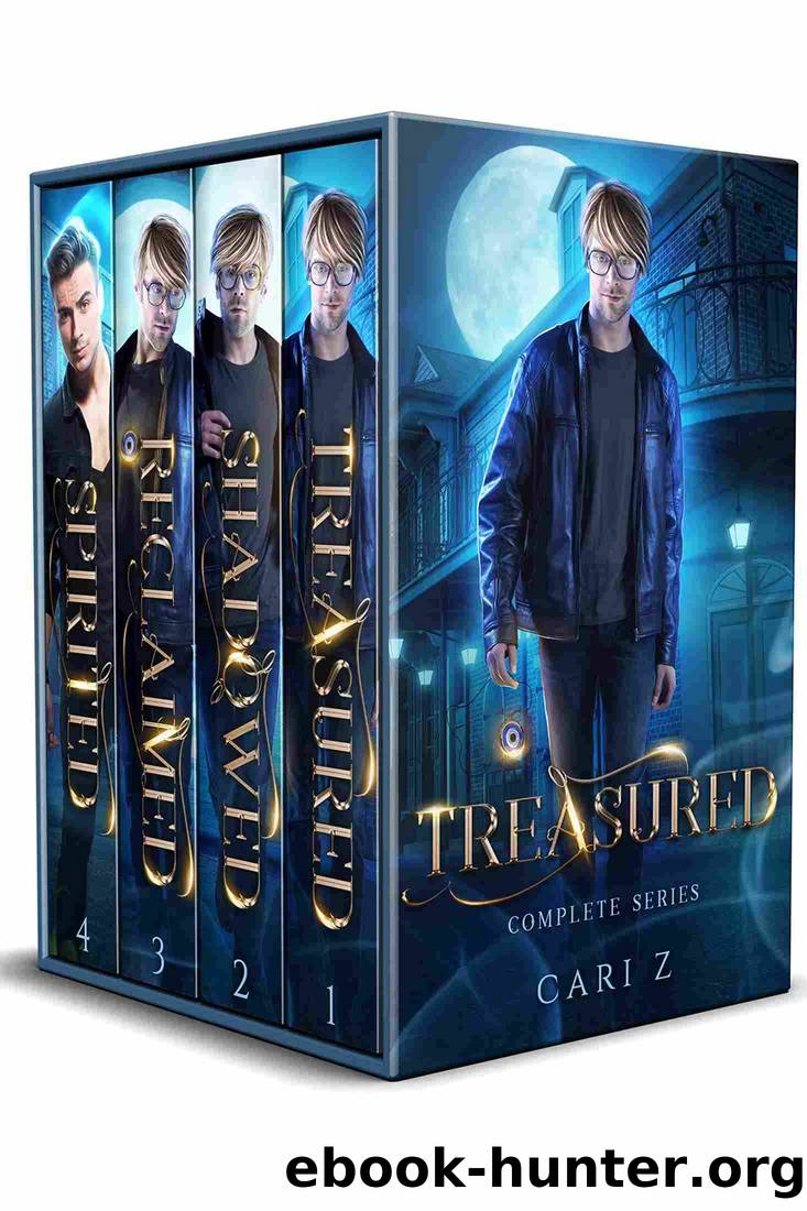 Treasured Box Set 1-4 by Cari Z
