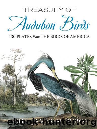 Treasury of Audubon Birds by John James Audubon