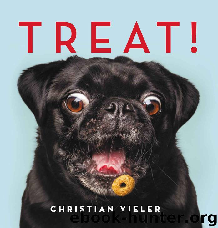 Treat! by Christian Vieler