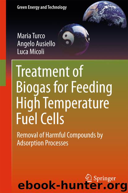 Treatment of Biogas for Feeding High Temperature Fuel Cells by Maria Turco Angelo Ausiello & Luca Micoli