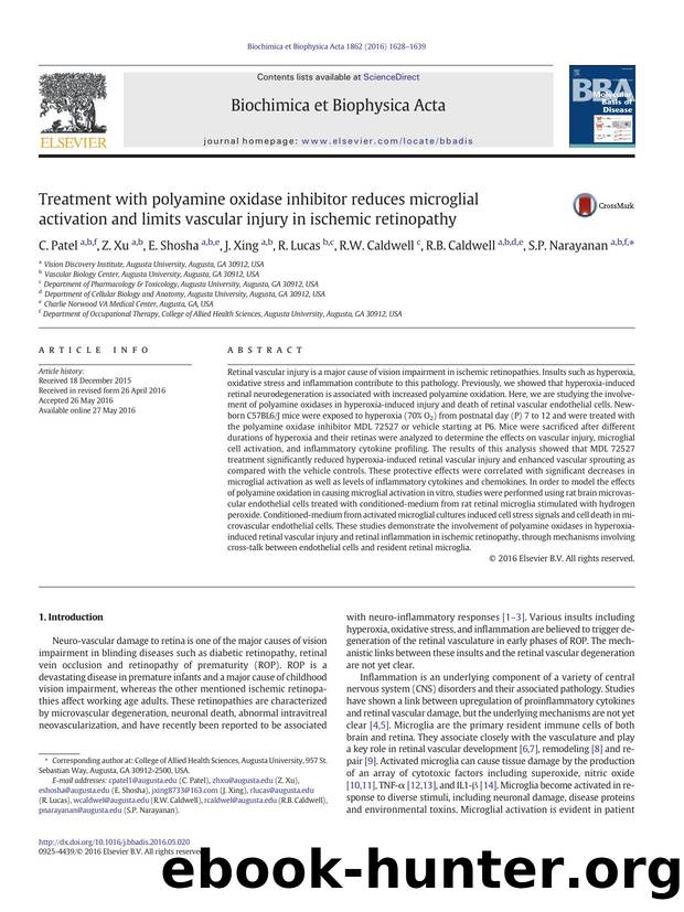 Treatment with polyamine oxidase inhibitor reduces microglial activation and limits vascular injury in ischemic retinopathy by C. Patel & Z. Xu & E. Shosha & J. Xing & R. Lucas & R.W. Caldwell & R.B. Caldwell & S.P. Narayanan