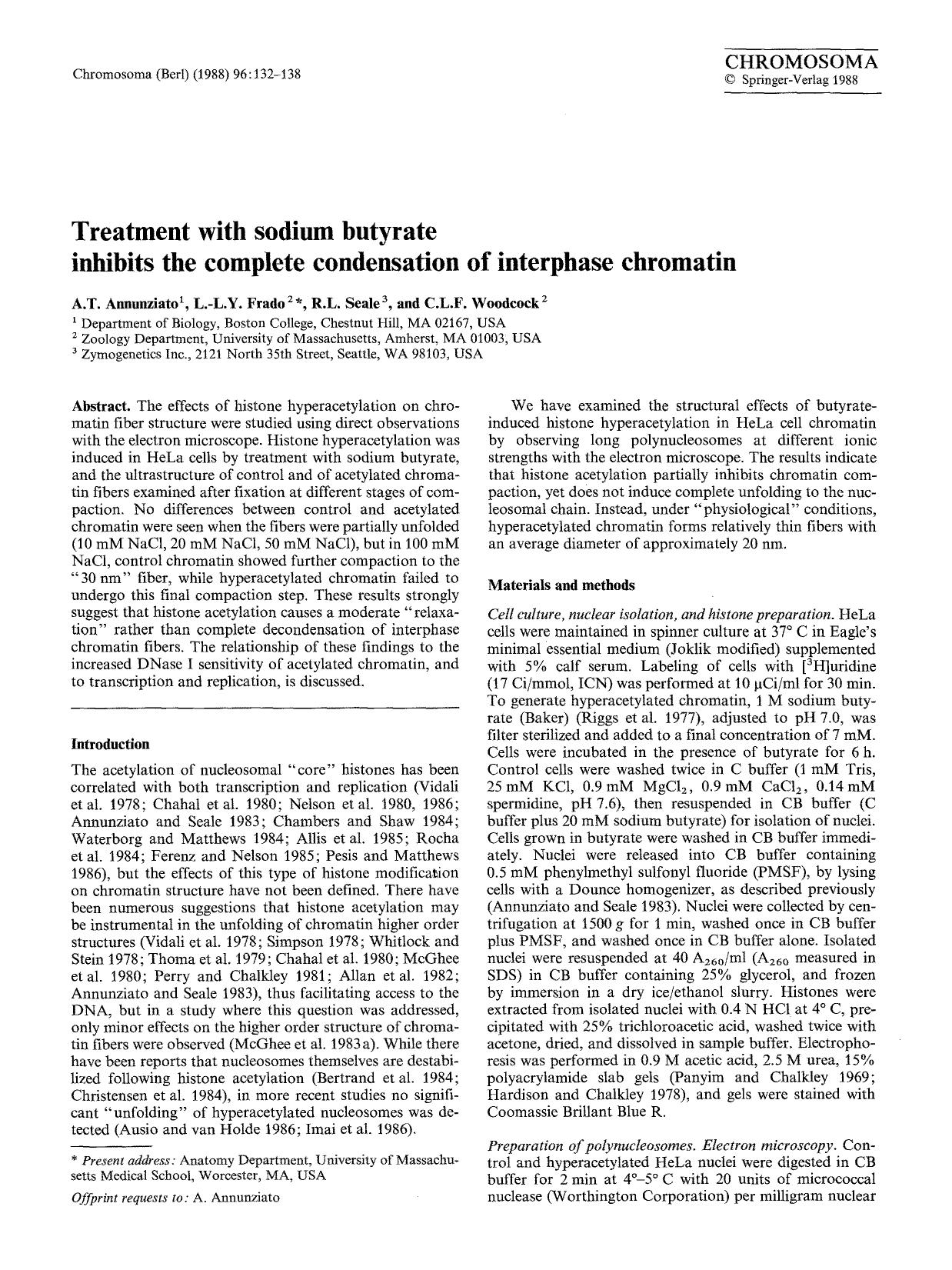 Treatment with sodium butyrate inhibits the complete condensation of interphase chromatin by Unknown