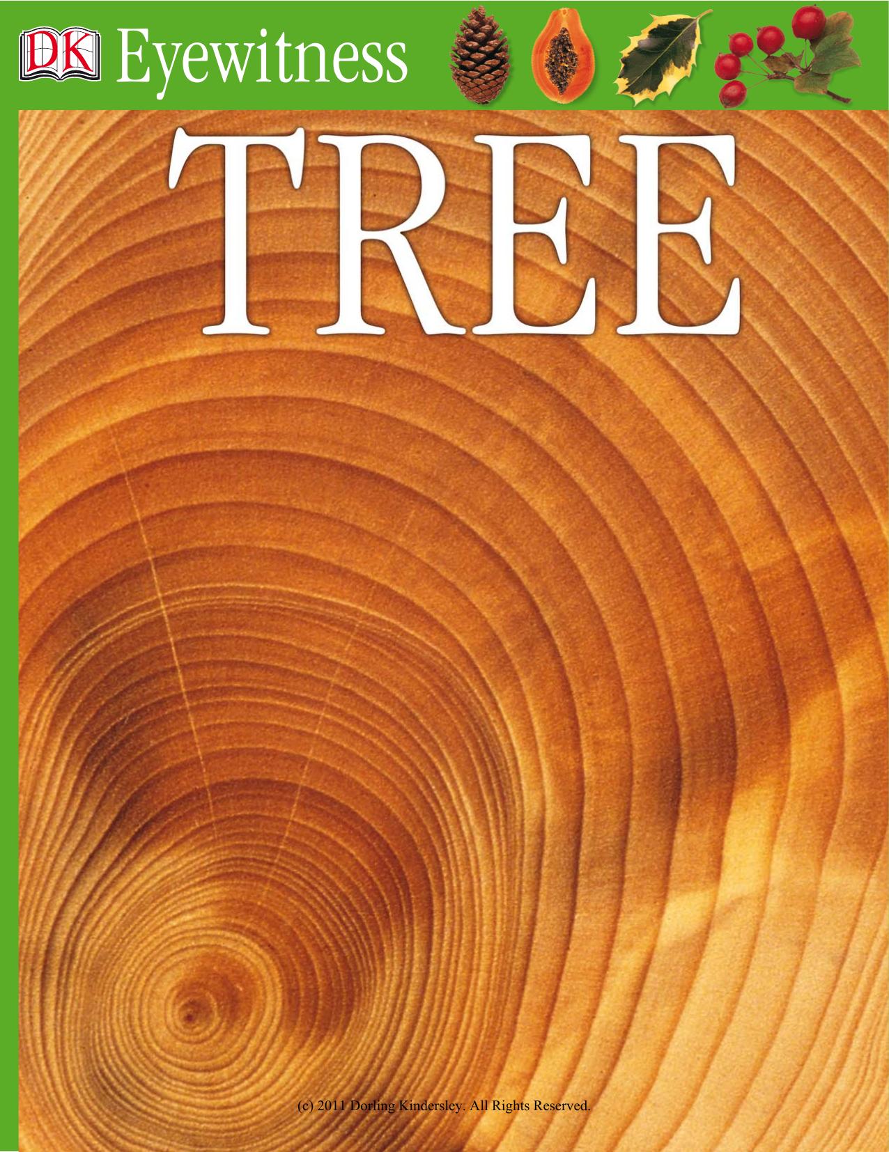 Tree (DK Eyewitness) by Unknown