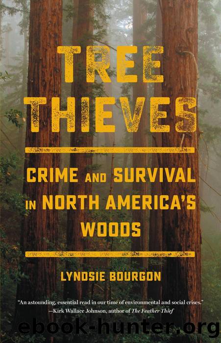 Tree Thieves : Crime and Survival in North America's Woods (9780316497428) by Bourgon Lyndsie