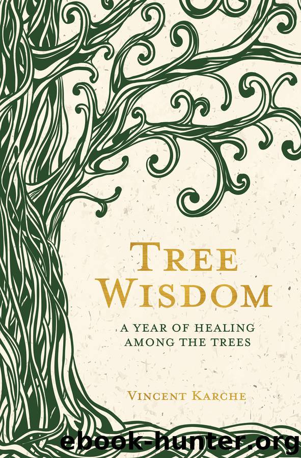 Tree Wisdom by Vincent Karche