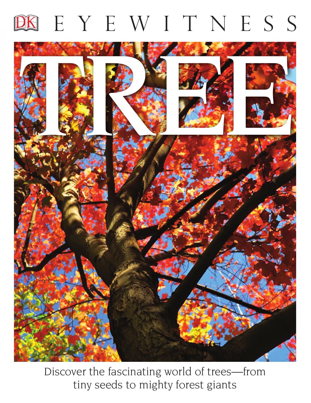 Tree by David Burnie