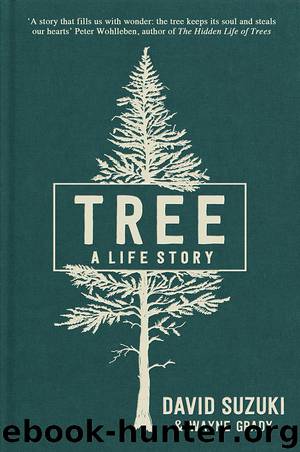 Tree by David Suzuki & Wayne Grady