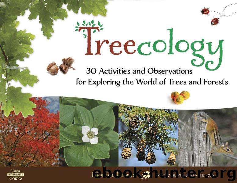 Treecology by Monica Russo