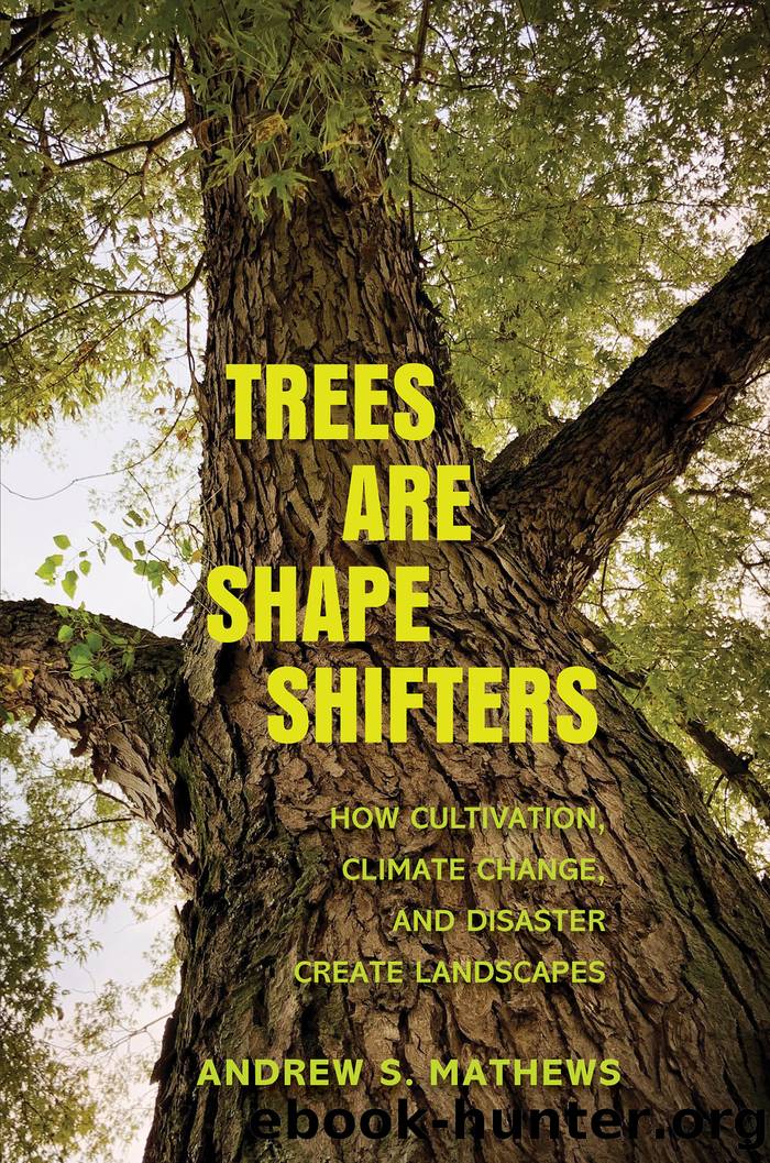 Trees Are Shape Shifters by Andrew S. Mathews