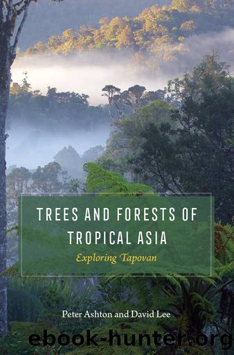 Trees and Forests of Tropical Asia: Exploring Tapovan by Peter Ashton & David Lee