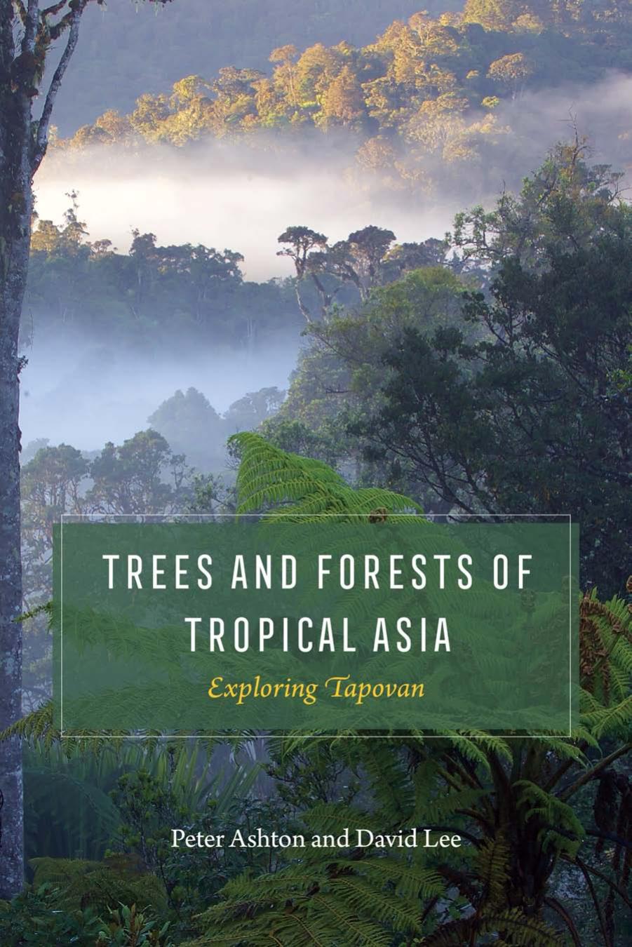 Trees and Forests of Tropical Asia: Exploring Tapovan by Peter Ashton David Lee