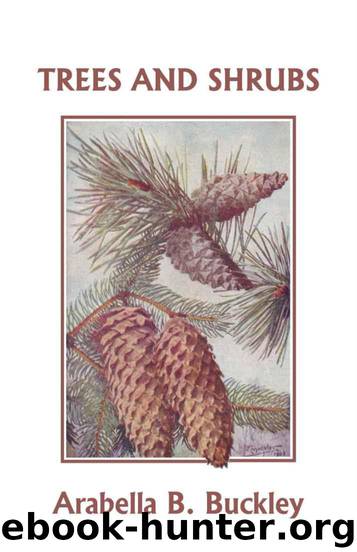 Trees and Shrubs (Yesterdays Classics) by Buckley Arabella B