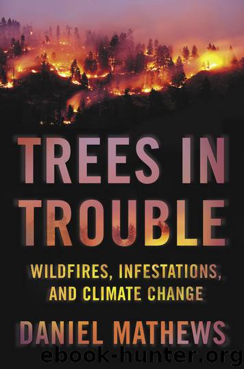 Trees in Trouble by Daniel Mathews