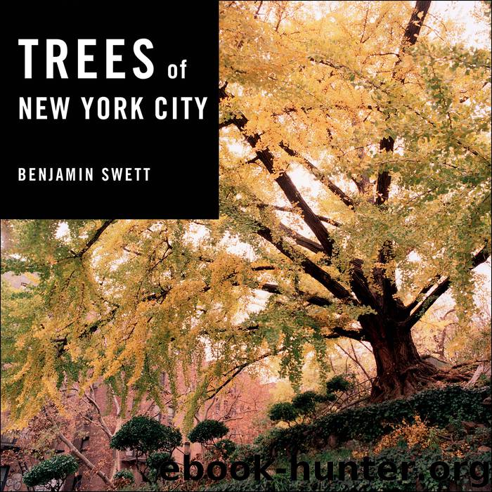 Trees of New York City by Benjamin Swett