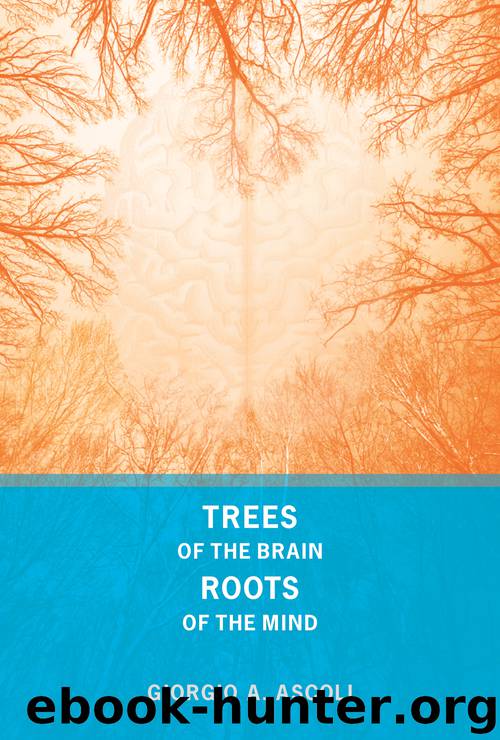 Trees of the Brain, Roots of the Mind by Giorgio A. Ascoli