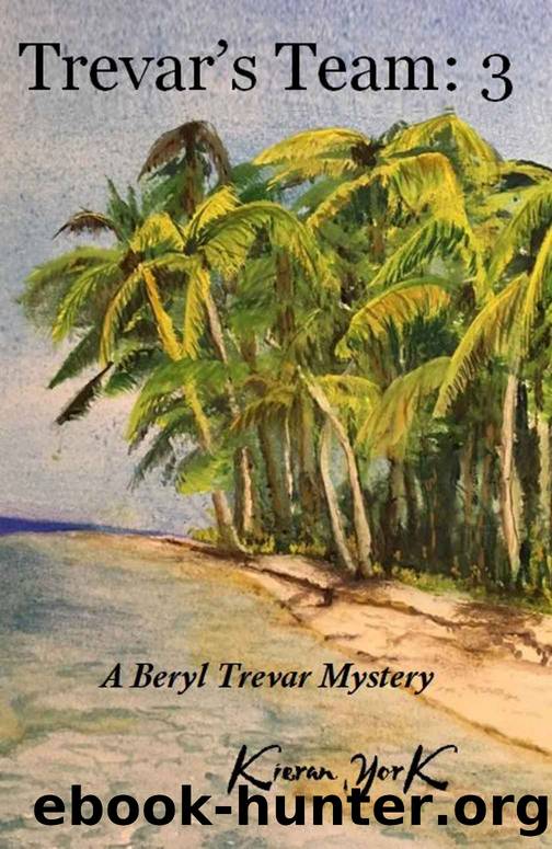 Trevar's Team: 3 by Kieran York