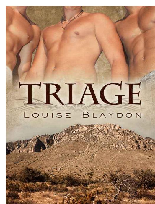Triage by Blaydon Louise