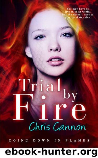 Trial By Fire (Going Down in Flames) by Cannon Chris