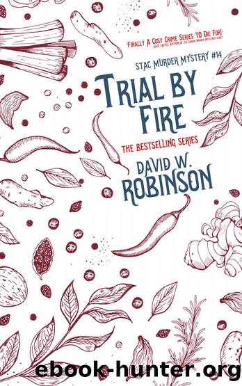 Trial by Fire (#14 - Sanford Third Age Club Mystery) (STAC - Sanford Third Age Club Mystery) by David W Robinson