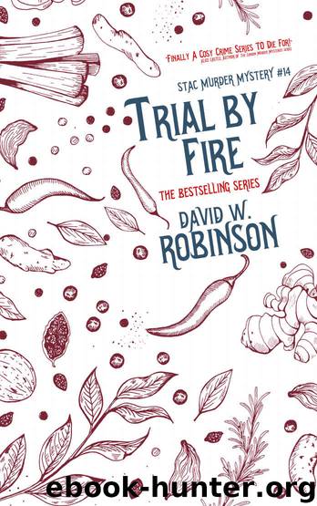 Trial by Fire by David W Robinson