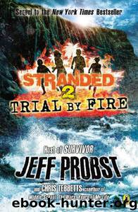 Trial by Fire by Probst Jeff & Tebbetts Chris